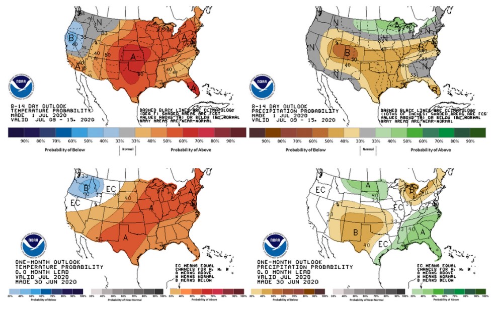 The 8-14 day and one-month outlooks